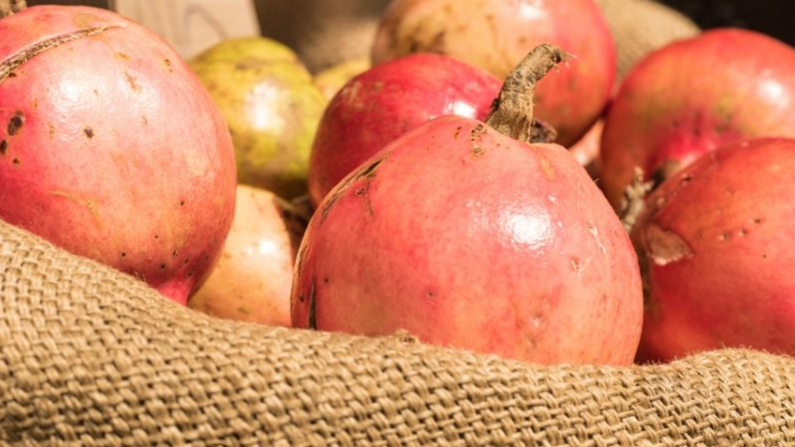 WhatsApp-Image-2022-02-28-at-10.31.20-AM-4-800x445