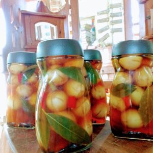 Pickled Onions