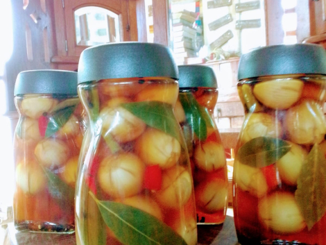 WhatsApp Image 2024-04-17 at 11.18.59_b35c5d22